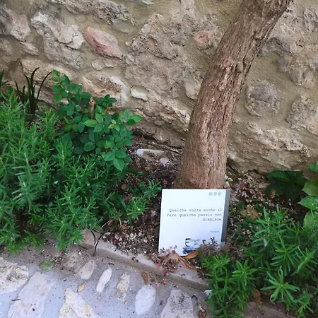 Monolocale Della Svolta